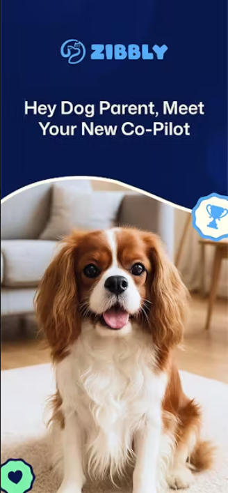 Screenshot 2024-09-23 082258.png